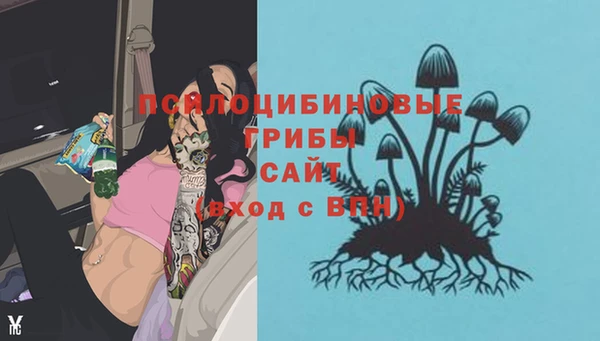 марки nbome Тайга