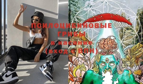 марки nbome Тайга
