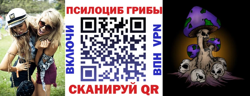 Галлюциногенные грибы мицелий  где купить наркотик  Новосибирск 