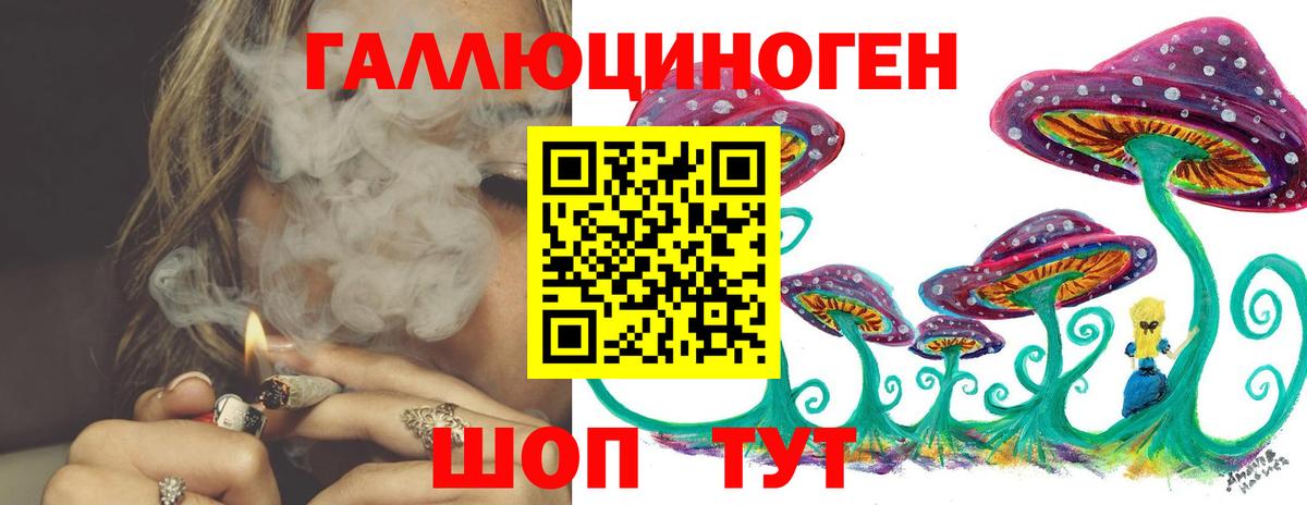 Новосибирск  Псилоцибиновые грибы ЛСД  наркотики  Вход с VPN 